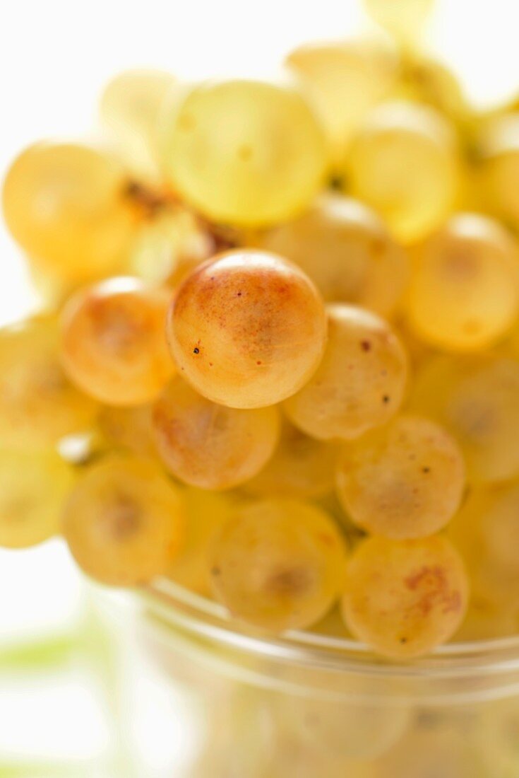 White grapes in a glass bowl (close-up)