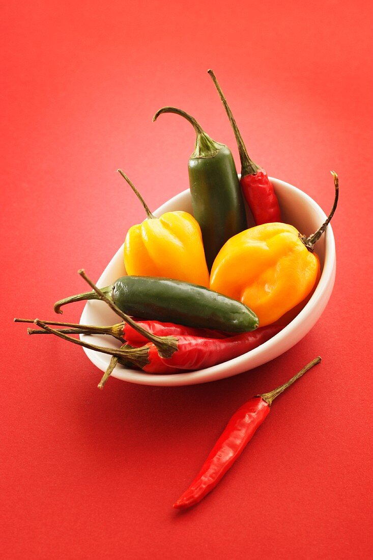 Assorted chillies in a bowl
