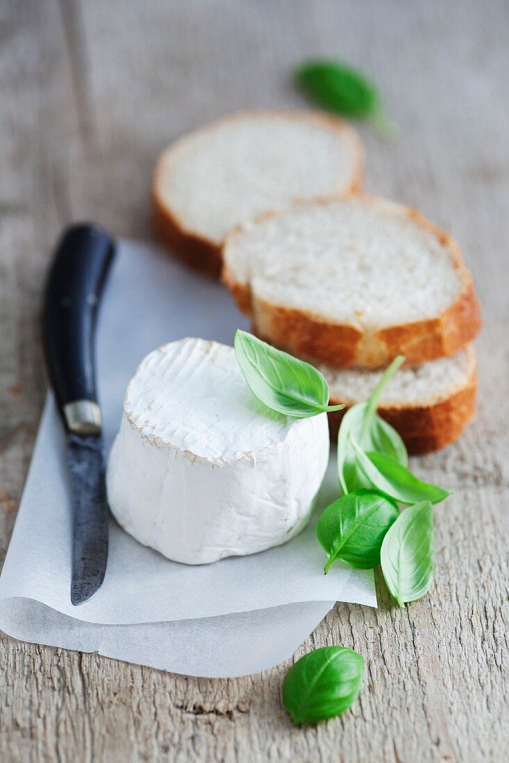 Ziegenkäse, Basilikum und Weissbrotscheiben