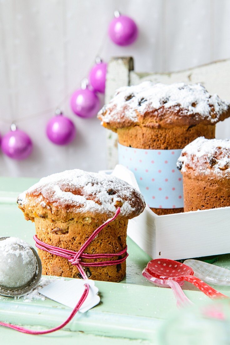 Walnut panettone with dried apricots and icing sugar, for Christmas