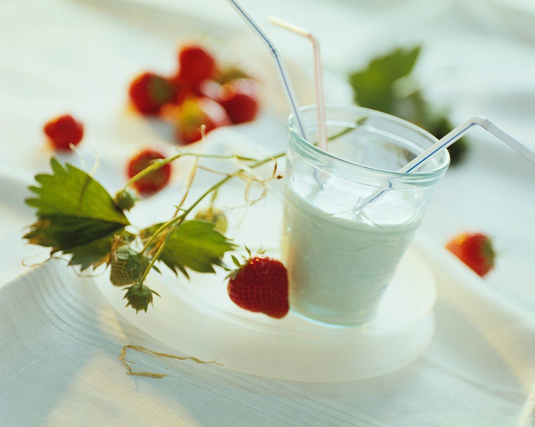 Stillleben mit Glas Milch & frischen Erdbeeren