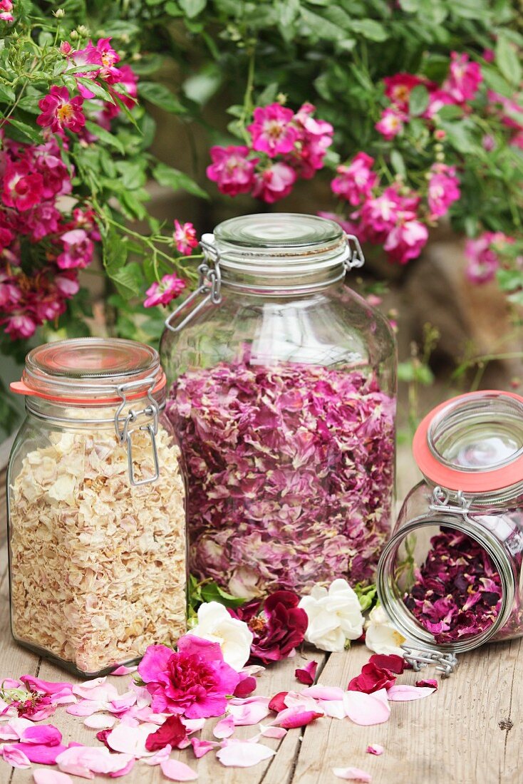 Dried rose petals of different colours in storage jars