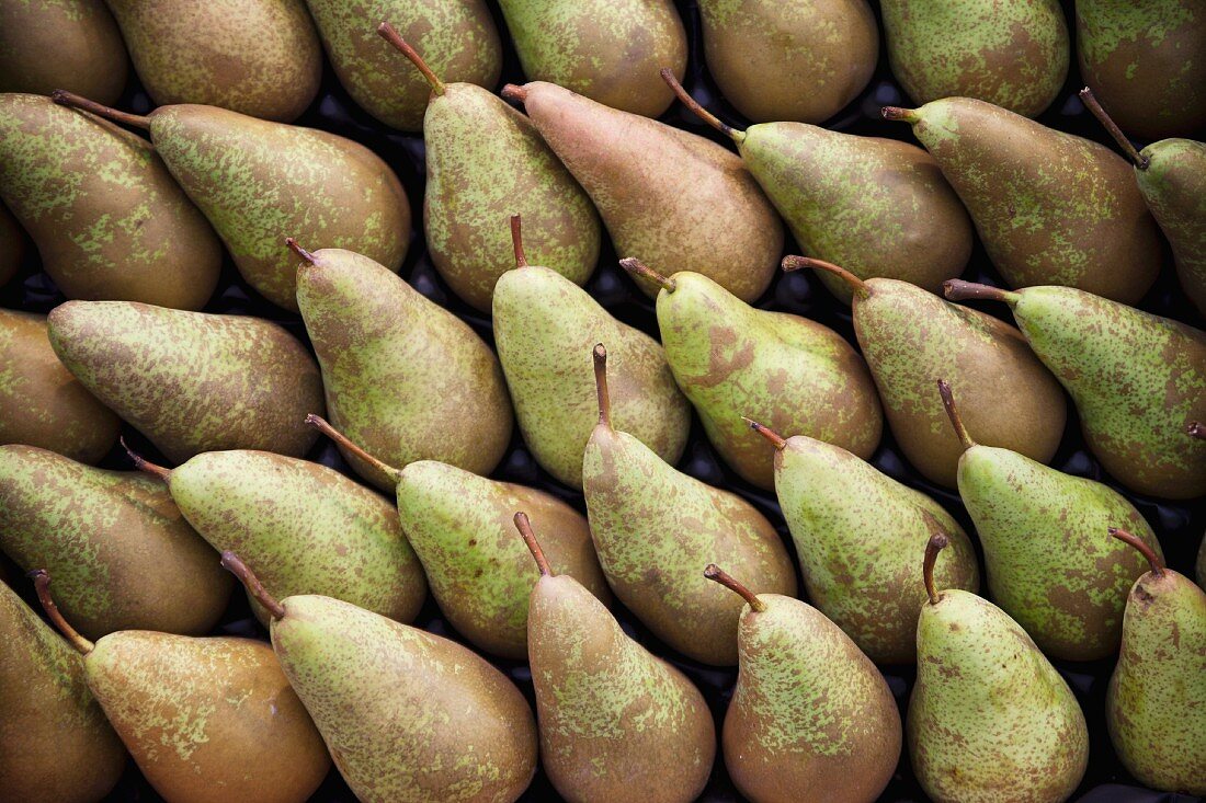 Lots of pears at the market