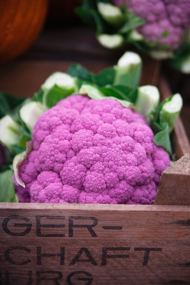 Purple and white cauliflower at the market