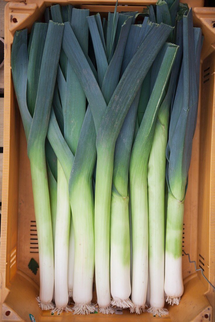 Leeks in a crate (view from above)