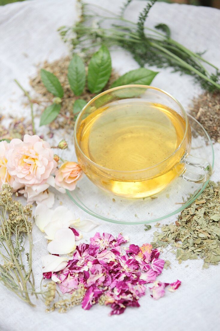 Duftender Frauentee in einer Teetasse aus Glas