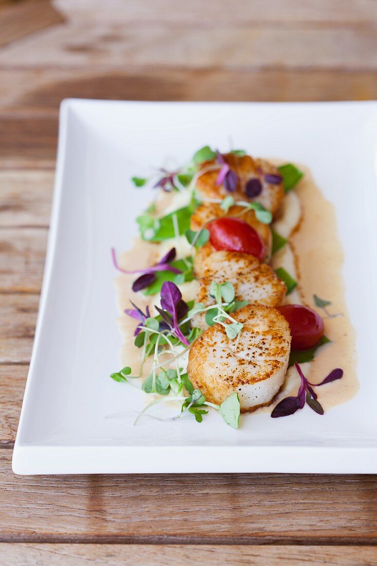 Scallops and Micro Greens