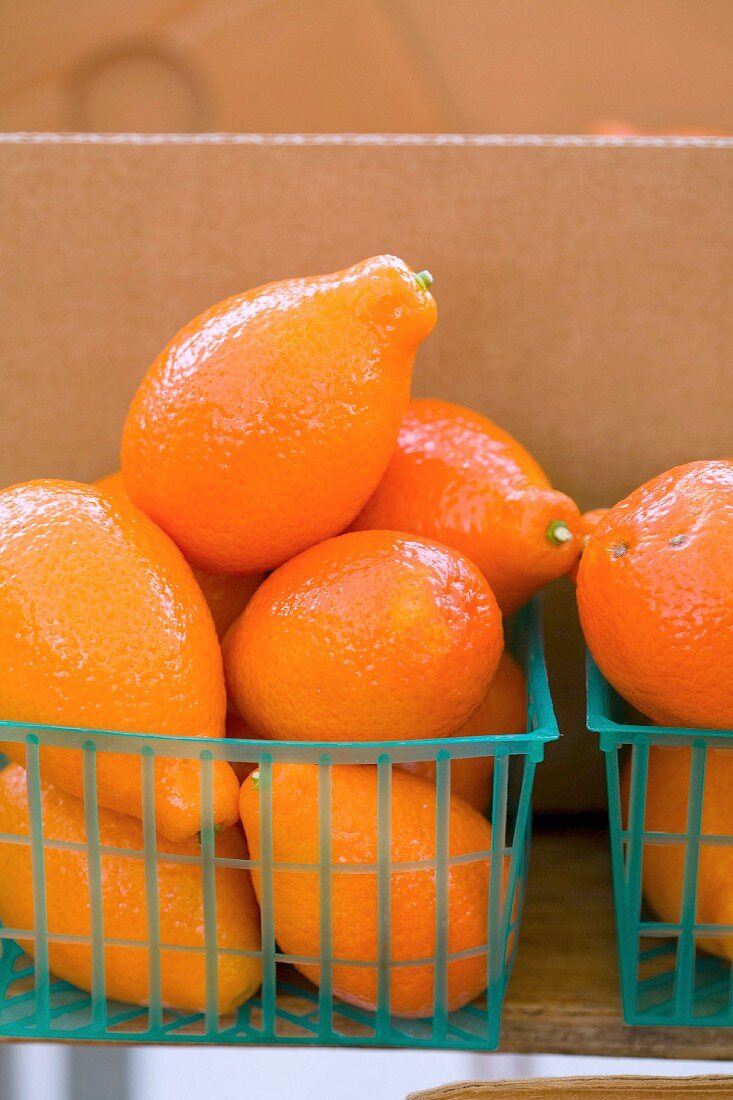 Tangeloquats