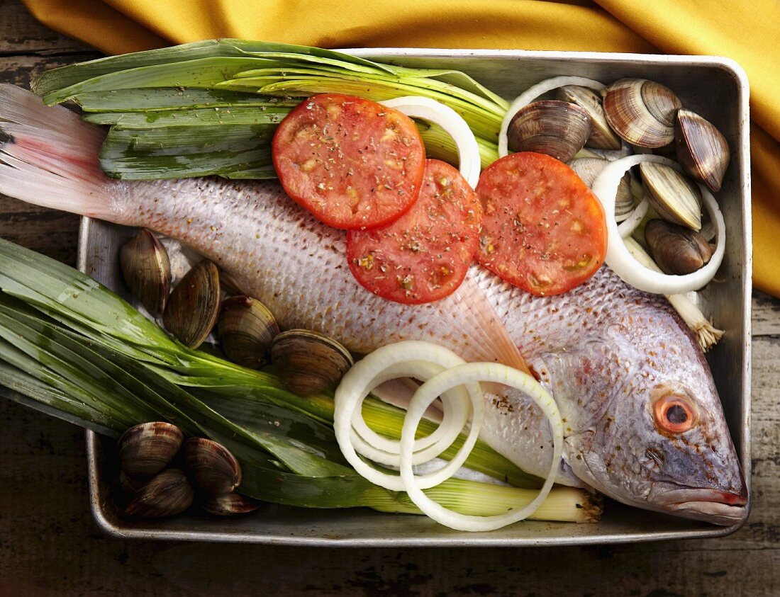 Raw Red Snapper with Clams, Leek and Tomateos