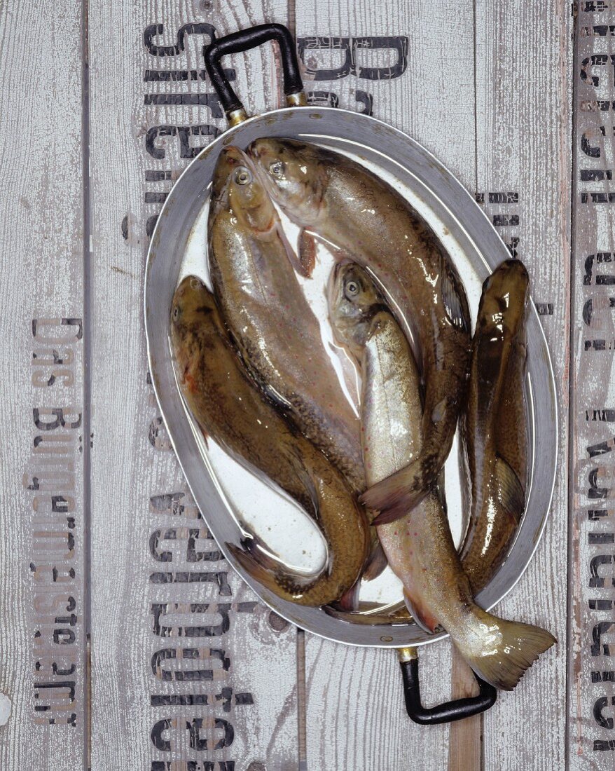 Several trout in an oval pan