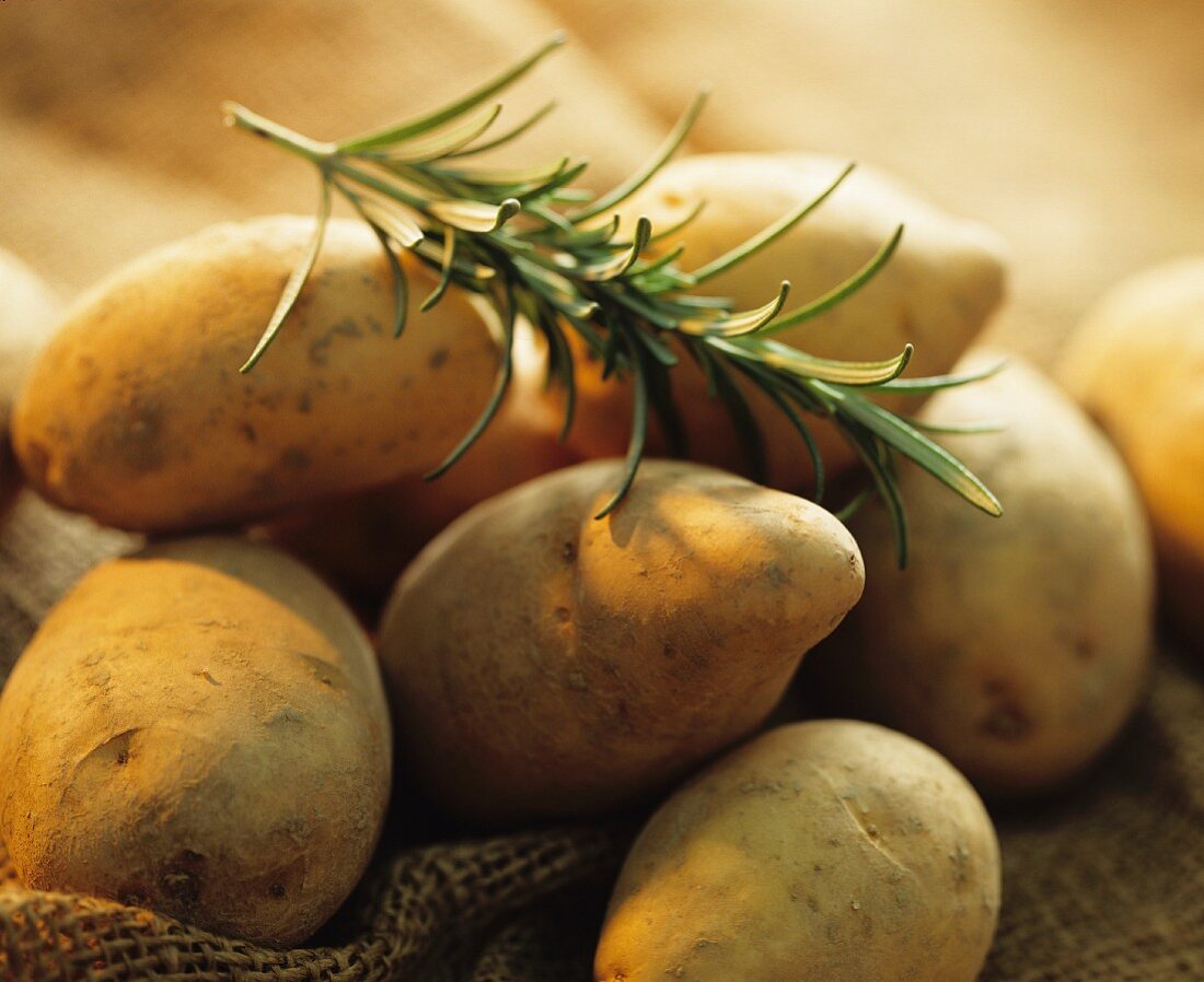 Kartoffeln und Rosmarin
