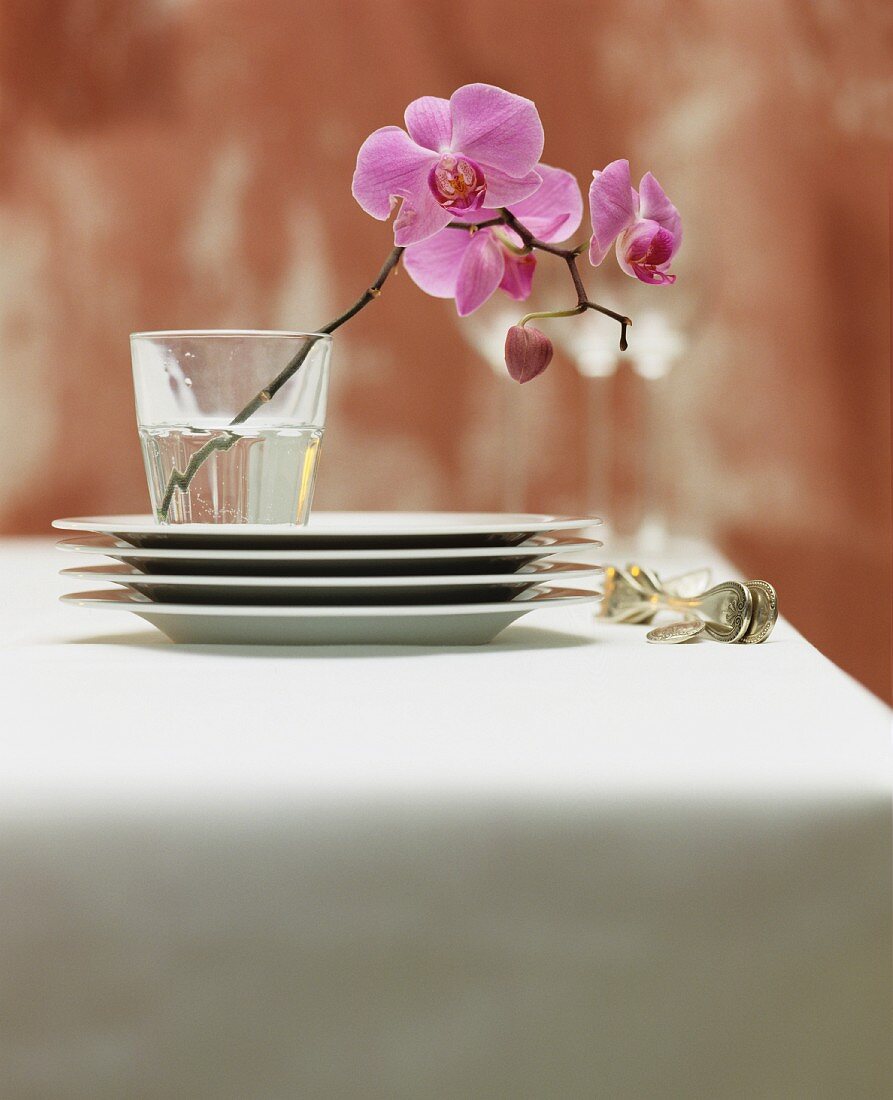 A stack of plates and silver cutlery next to a glass holding purple orchid flowers