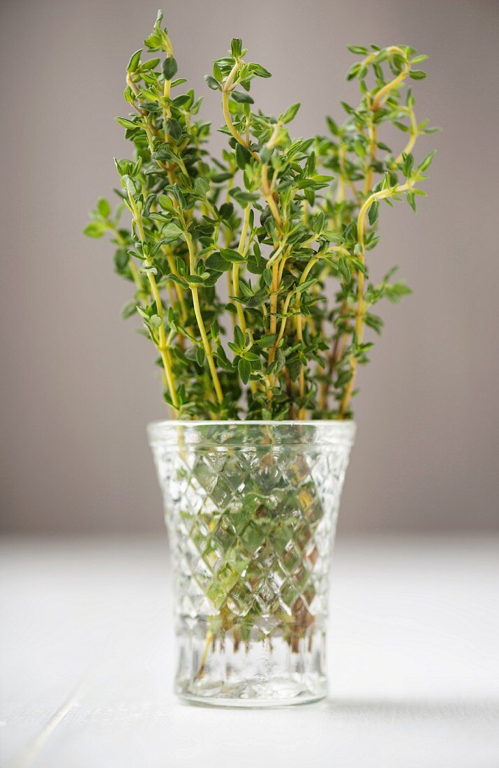 Fresh thyme in a glass of water