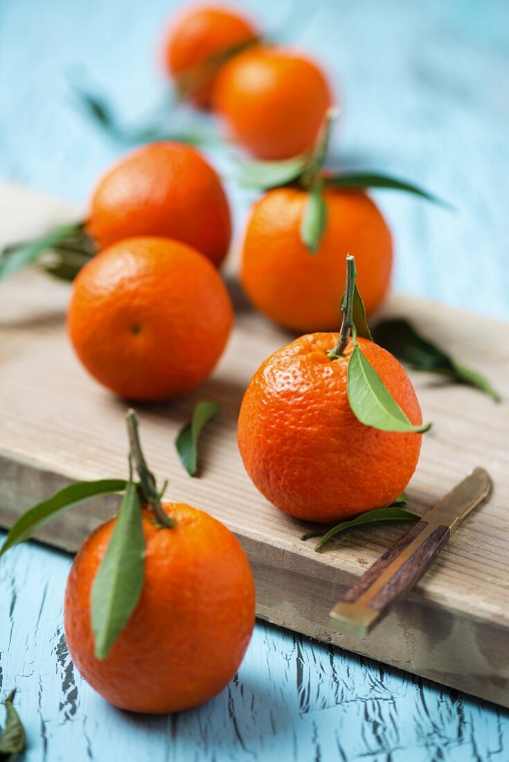 Several mandarins with leaves on a chopping board