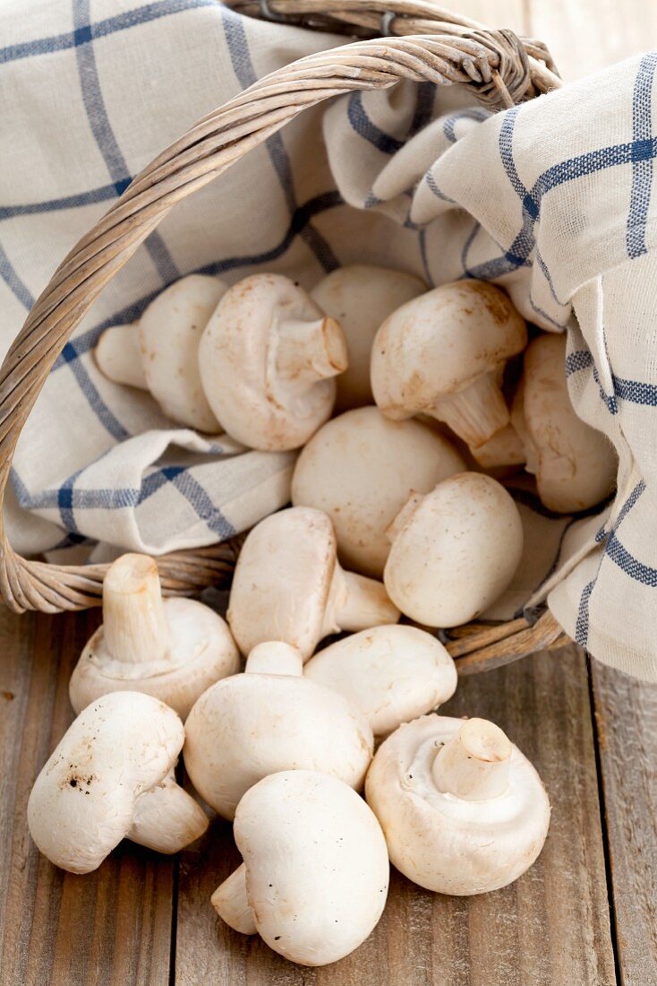 White mushrooms in and next to a basket