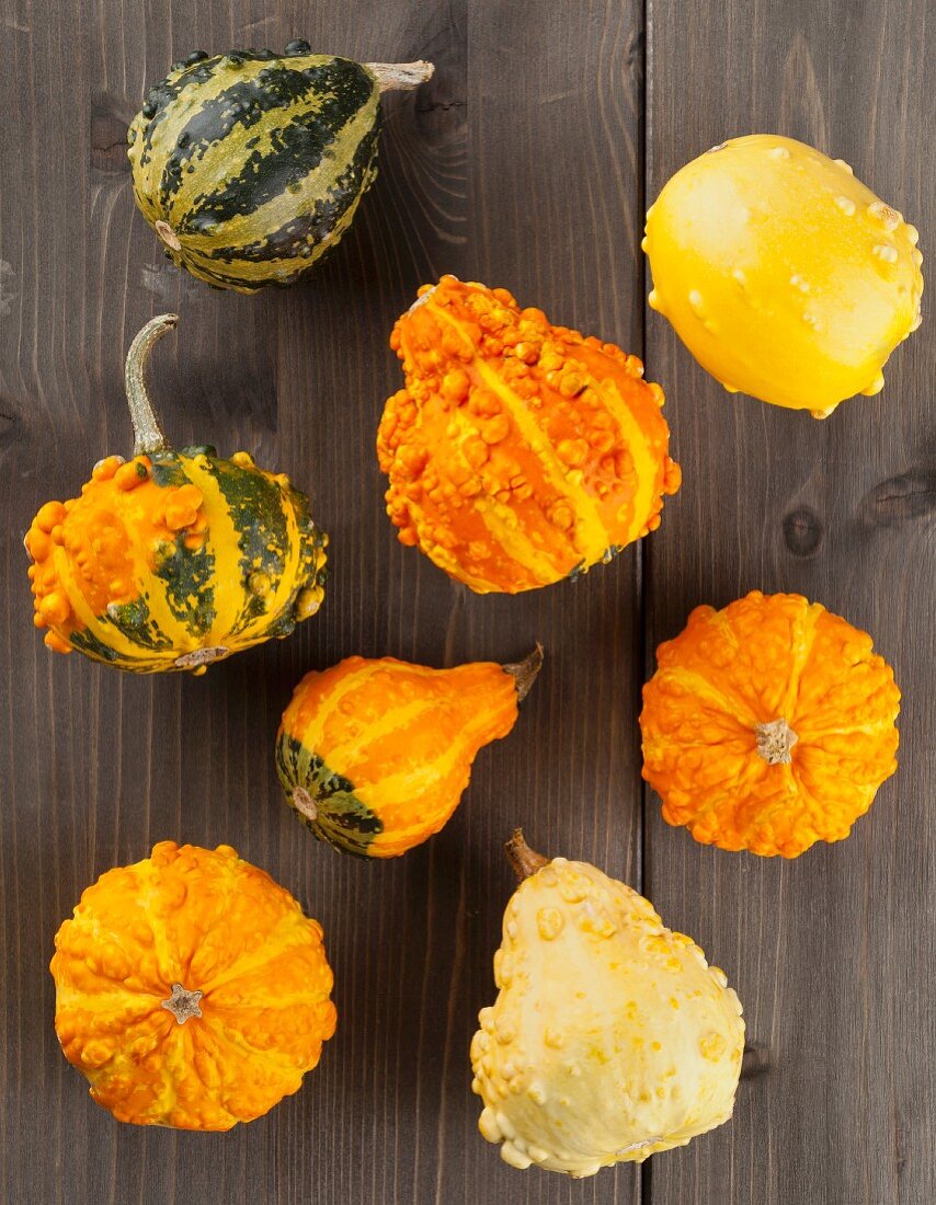 Assorted varieties of ornamental squash on a wooden table