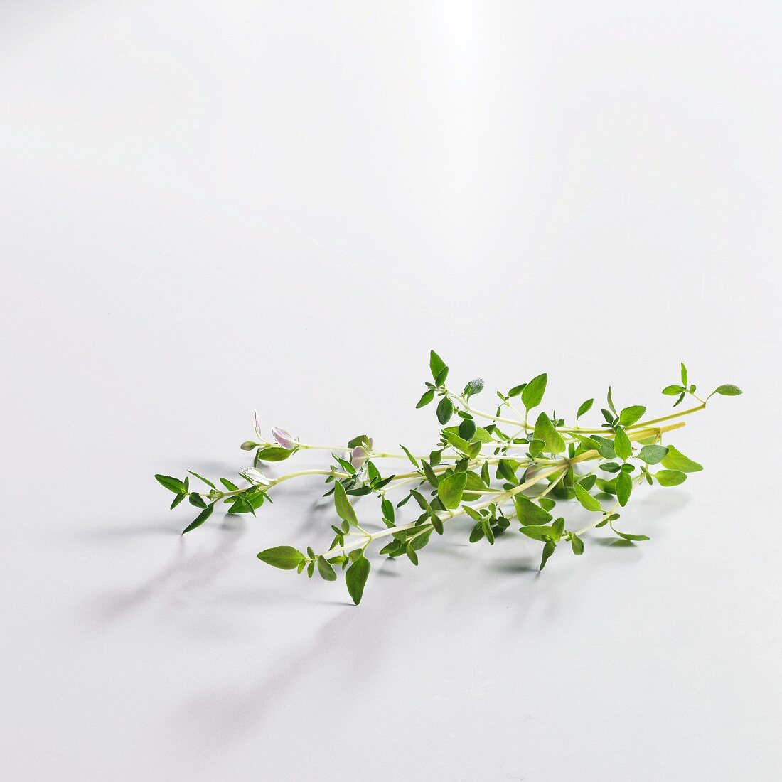 Fresh sprigs of thyme