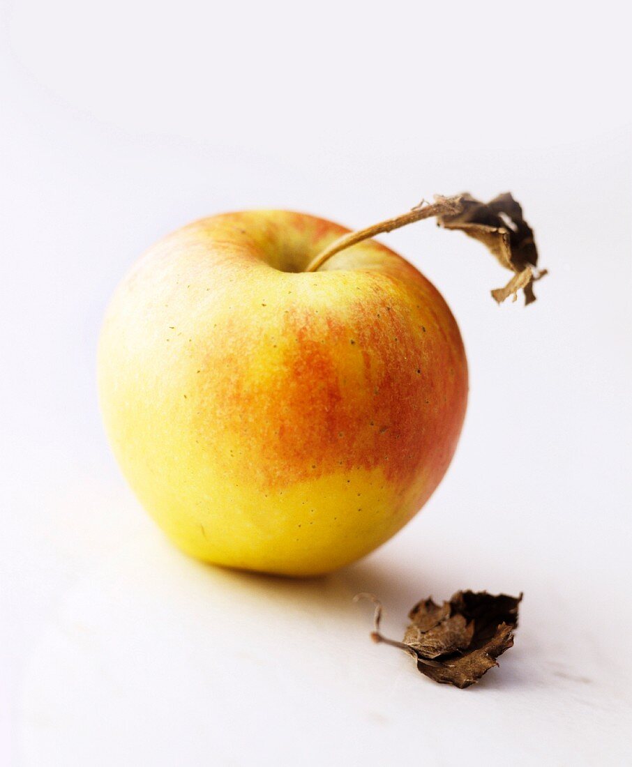 Ein gelber Apfel vor weißem Hintergrund