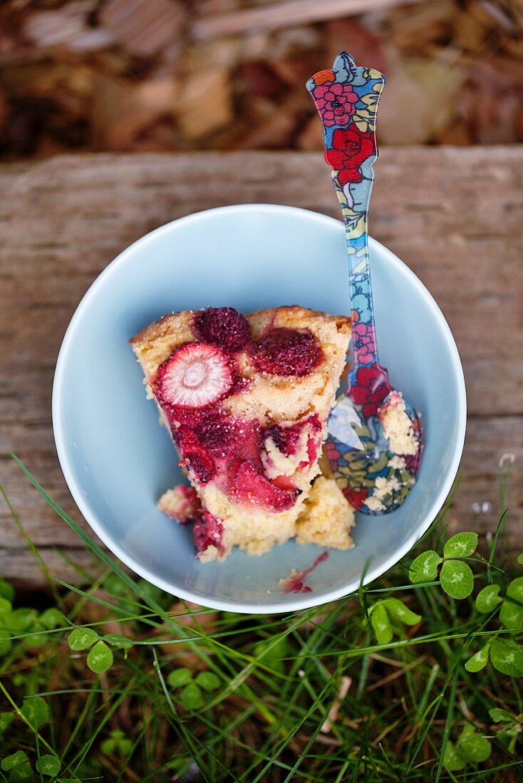 Stück Beeren-Rhabarber-Kuchen