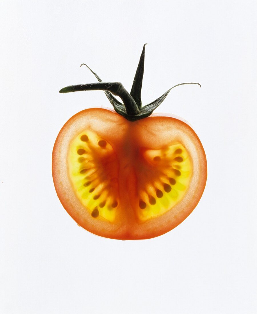 Tomatenscheibe im Gegenlicht