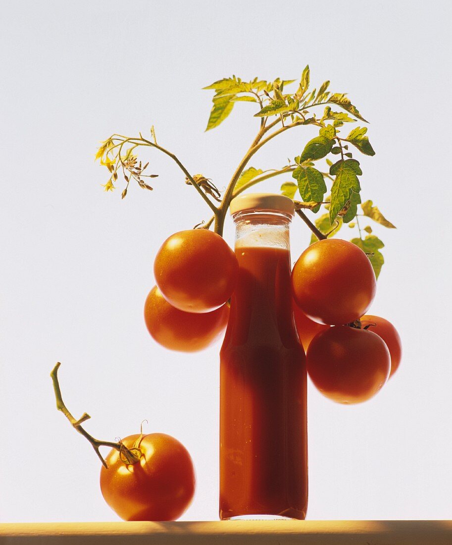 A bottle of tomato ketchup