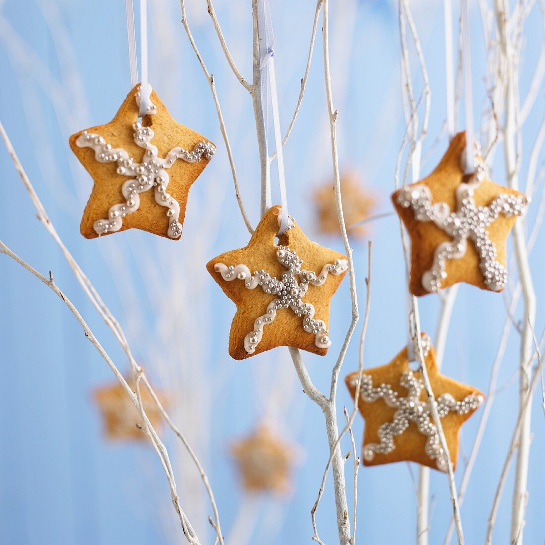 Gingerbread stars on branches