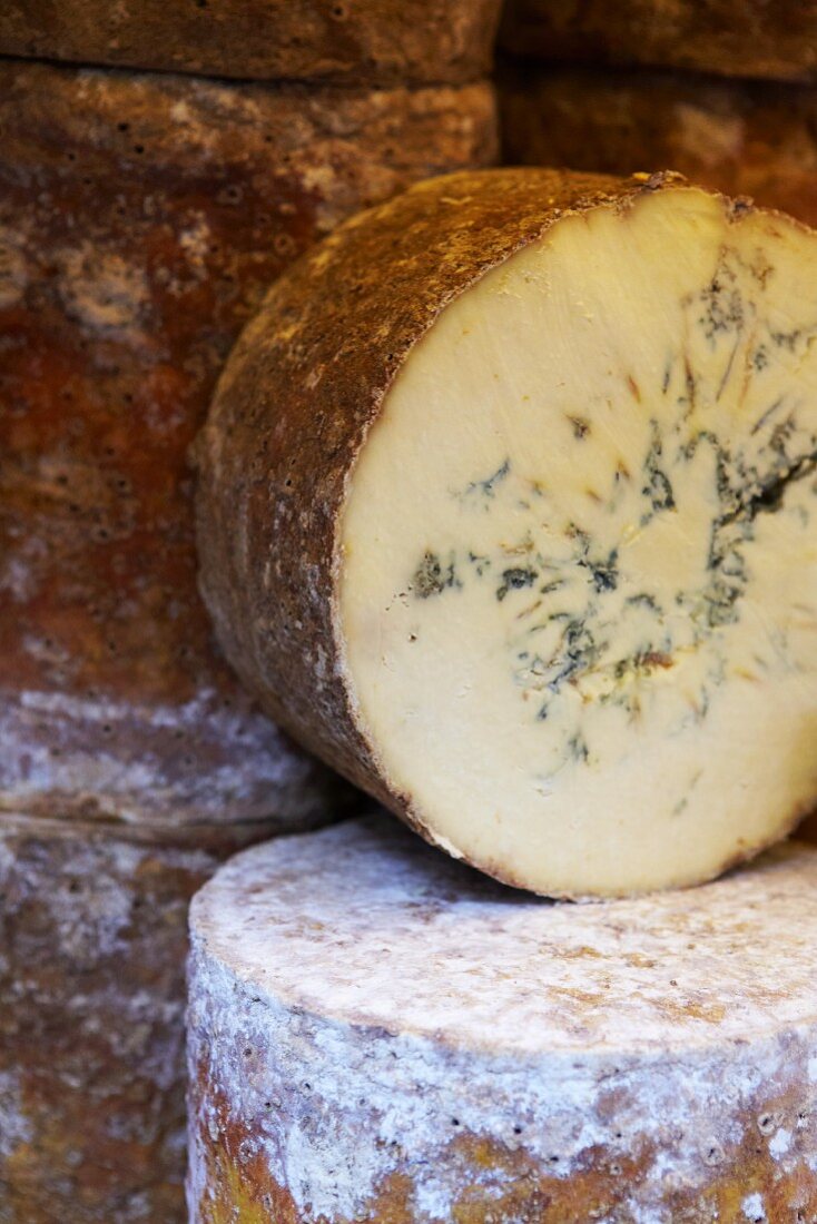 Several wheels of blue cheese (close-up)