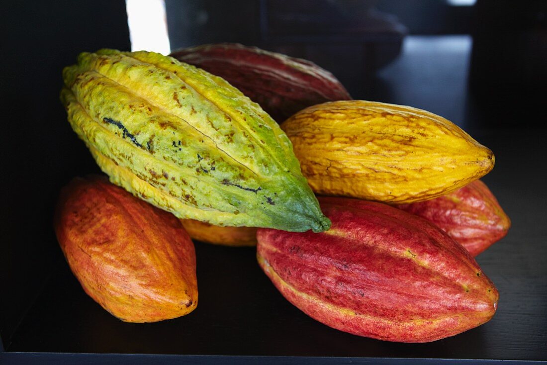 Several cocoa pods (close up)