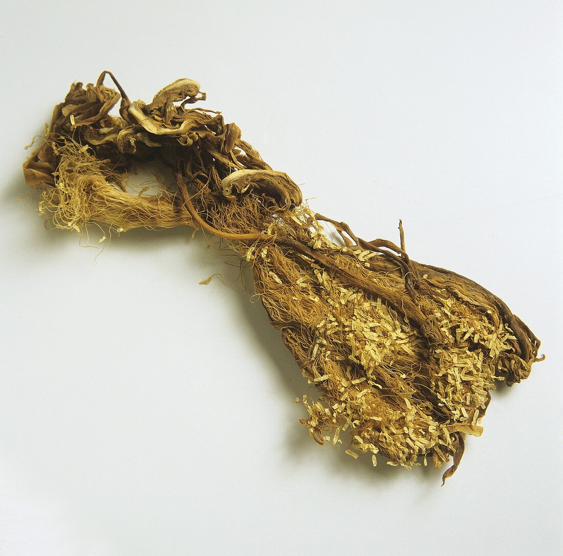 A dried "Jian Hua Gan" plant