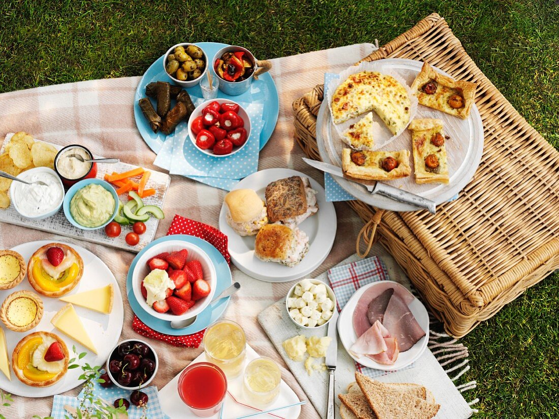Sommerliches Picknick auf einer Wiese