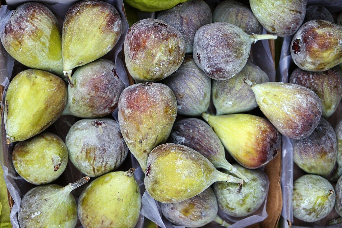 Fresh figs in a crate