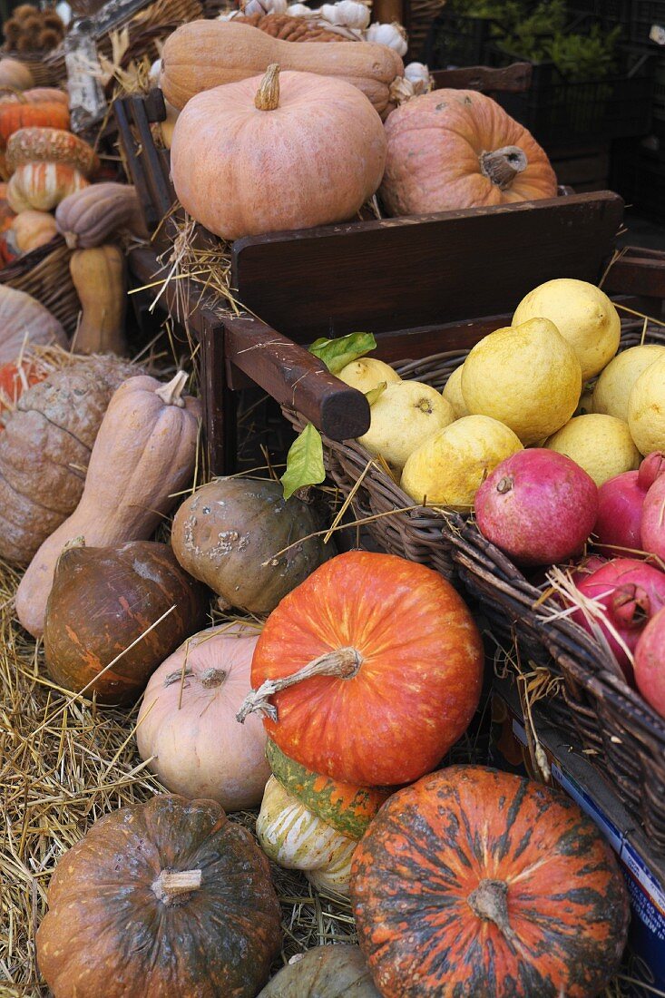 Verschiedene Kürbisse, Zitronen und Granatäpfel auf dem Markt