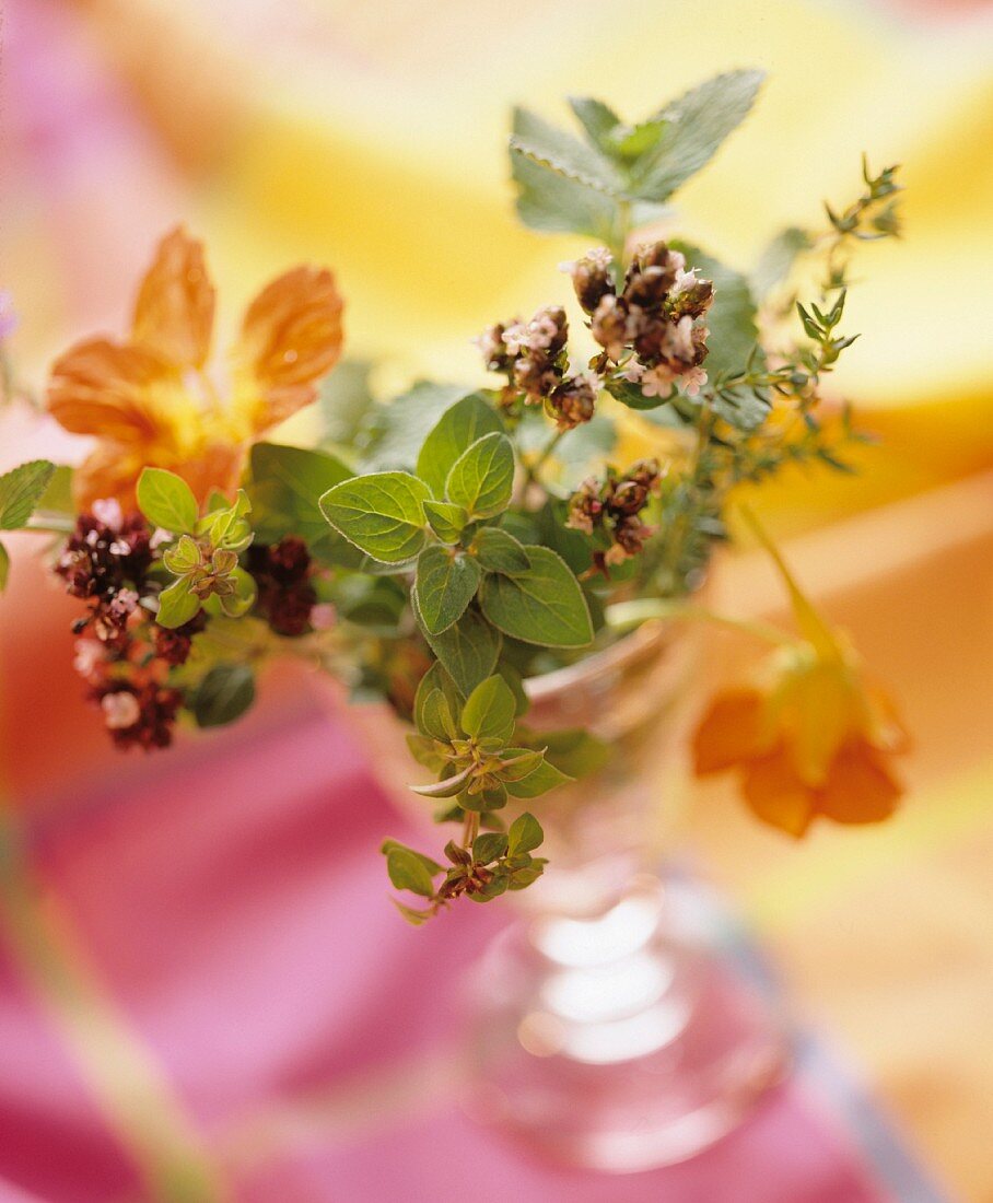 Bouquet of marjoram and nasturtium flowers