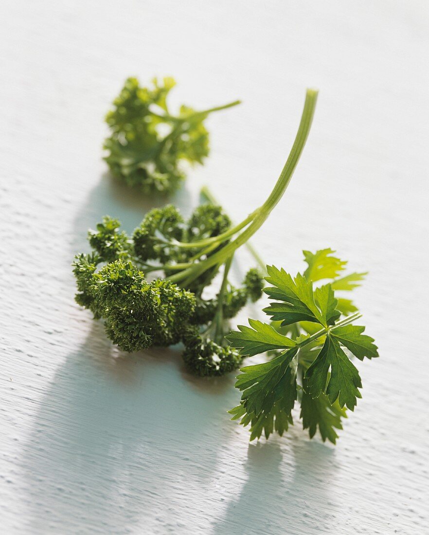 Flat leaf and curly parsley