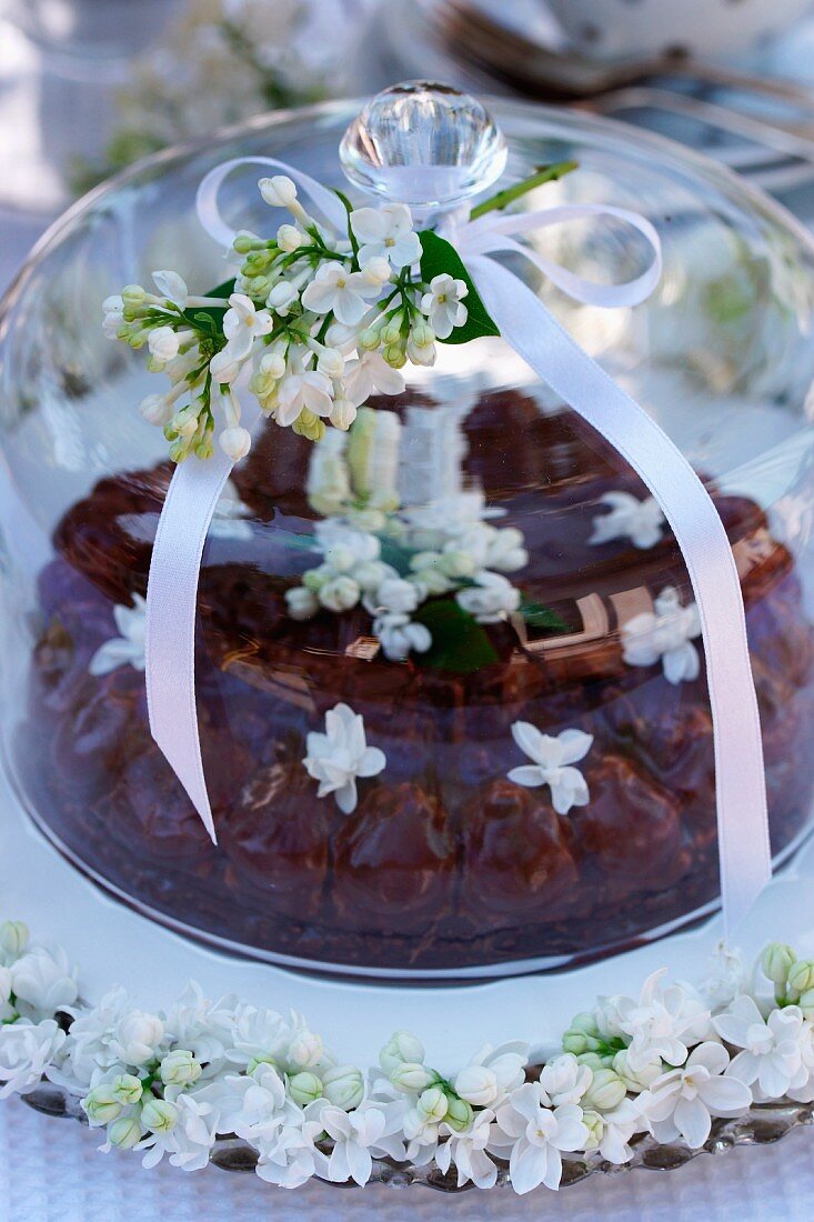 Schokoladentorte mit weissen Fliederblüten unter Glashaube auf Gartentisch