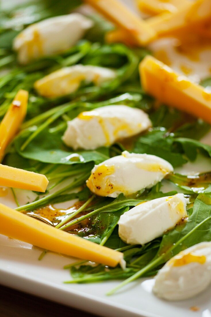 Ziegenfrischkäsenocken auf Rucola mit würzigem Dressing und Cheddarstreifen