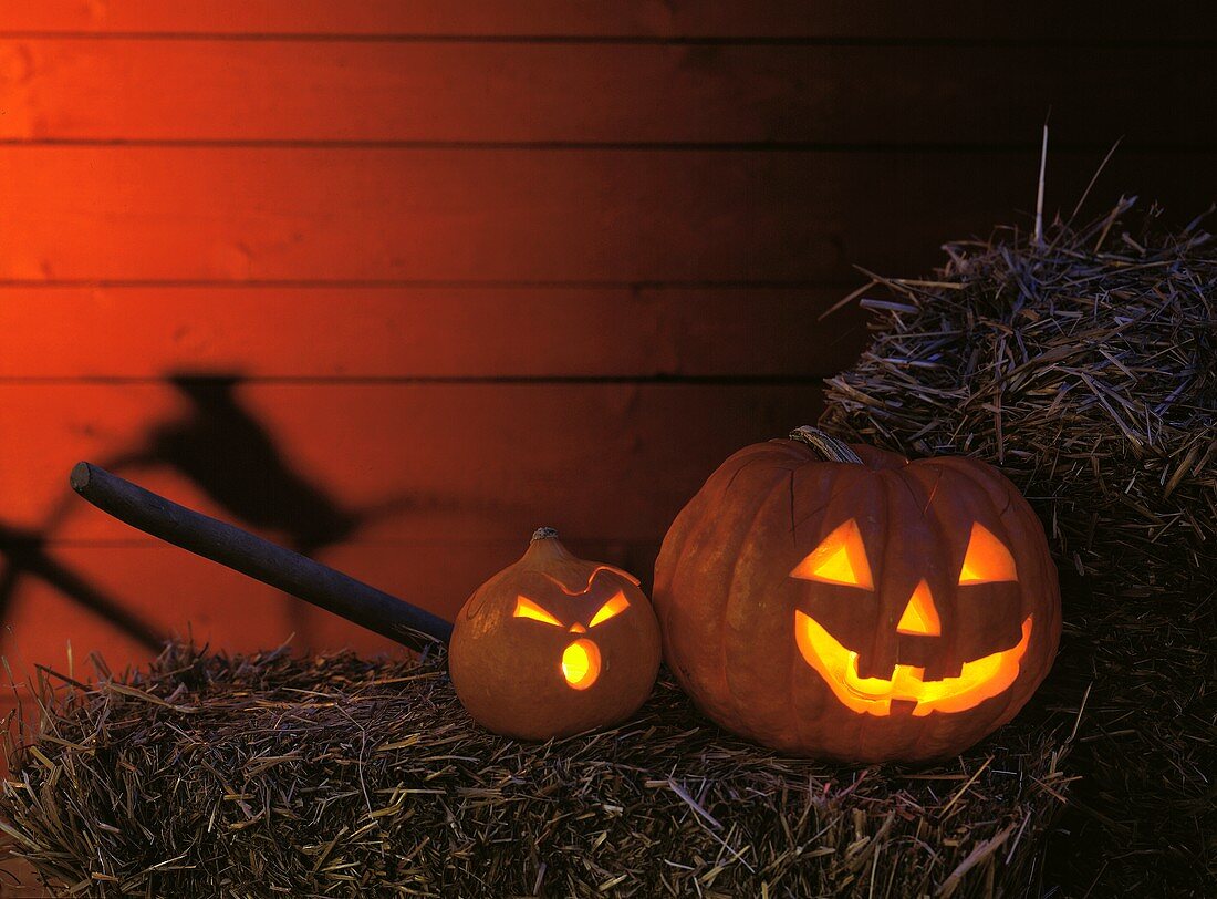 Halloween: Gelbe ausgehöhlte Kürbisse mit Gesichtern