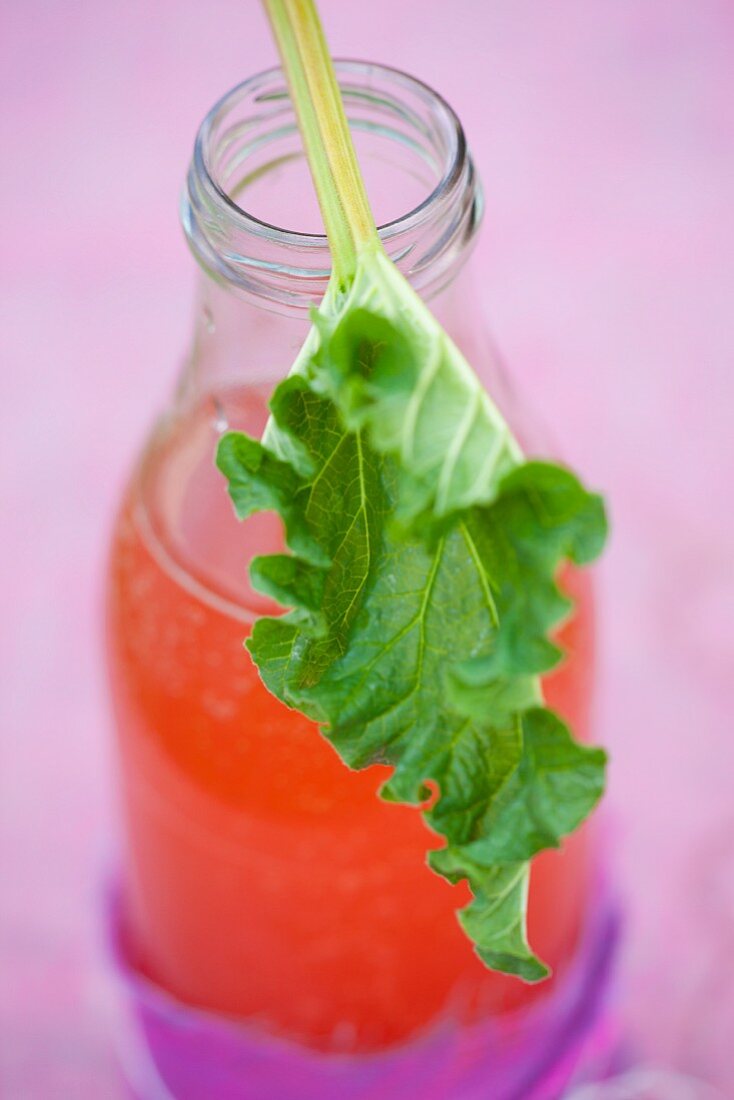 Homemade rhubarb lemonade in a bottle with a rhubarb leaf