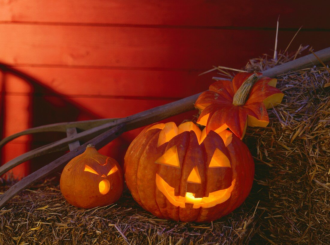 Two Jack o' Lanterns with Candles on Hay