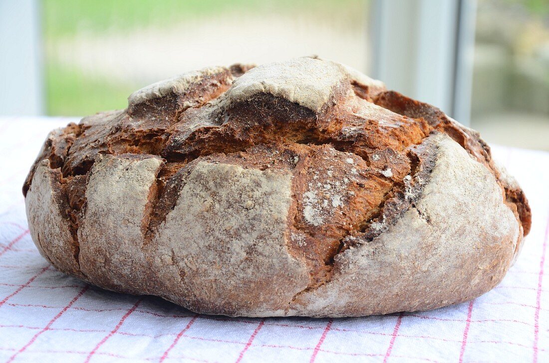 Whole wheat-rye bread