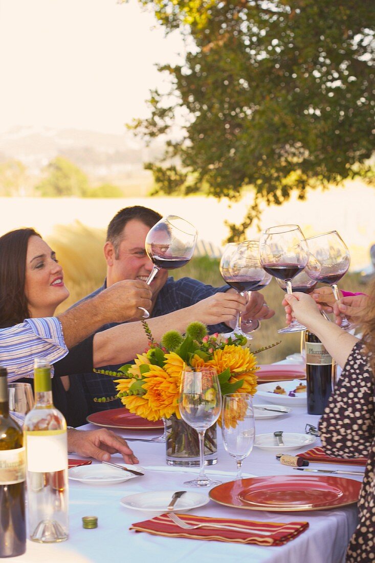 Freunde beim Anstossen mit Rotwein an einem festlich gedeckten Tisch im Freien