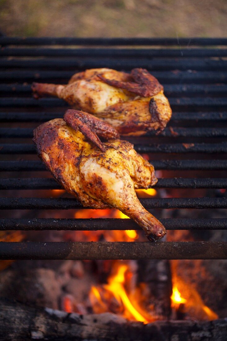 Half Chickens on a Grill