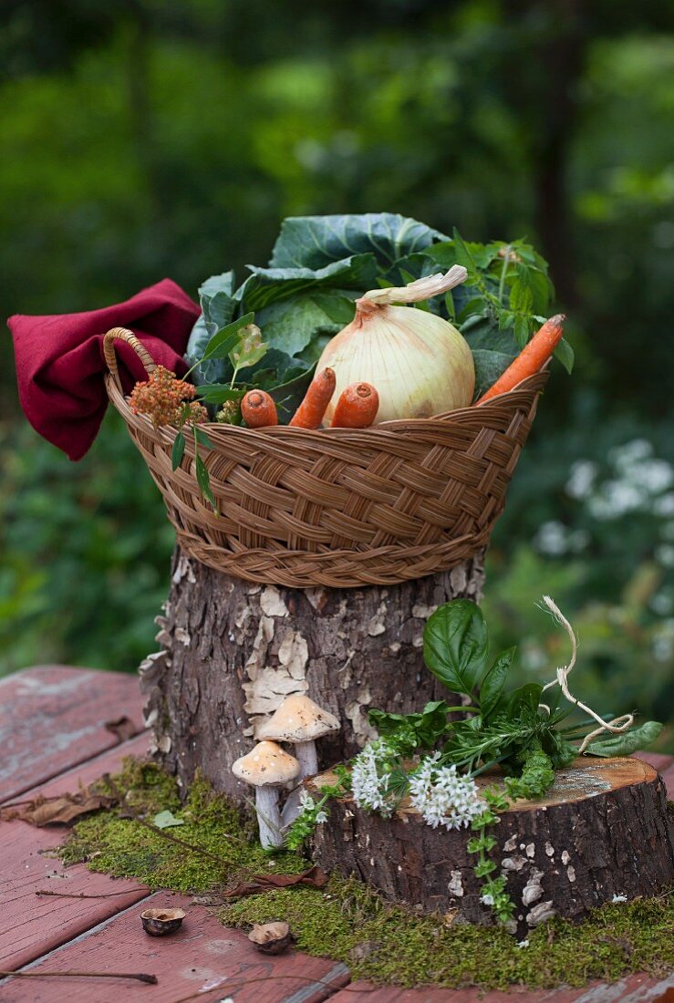 Korb mit Zwiebeln, Karotten und Kohl auf Baumstamm