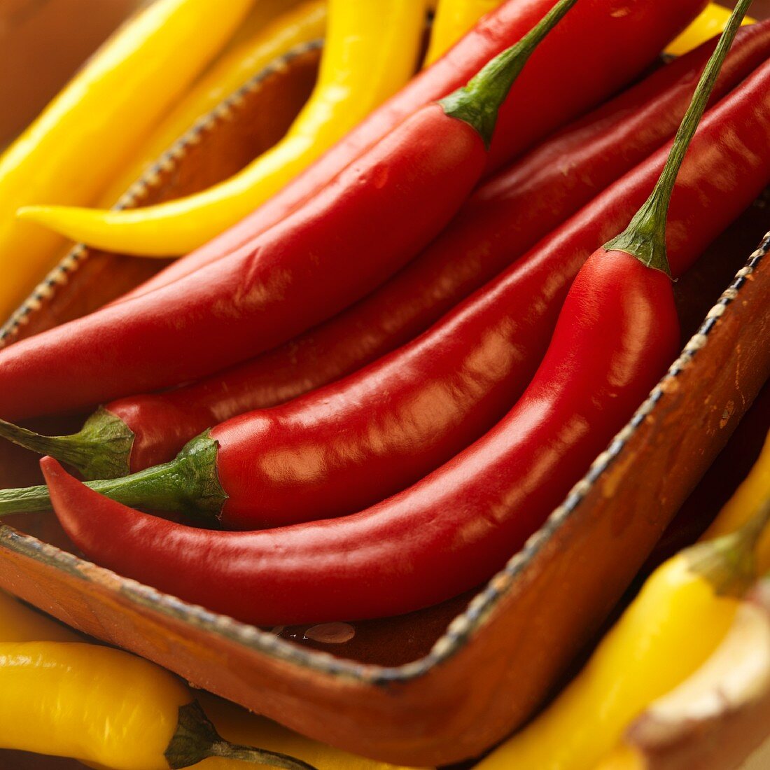 Fresh Red and Yellow Chili Peppers