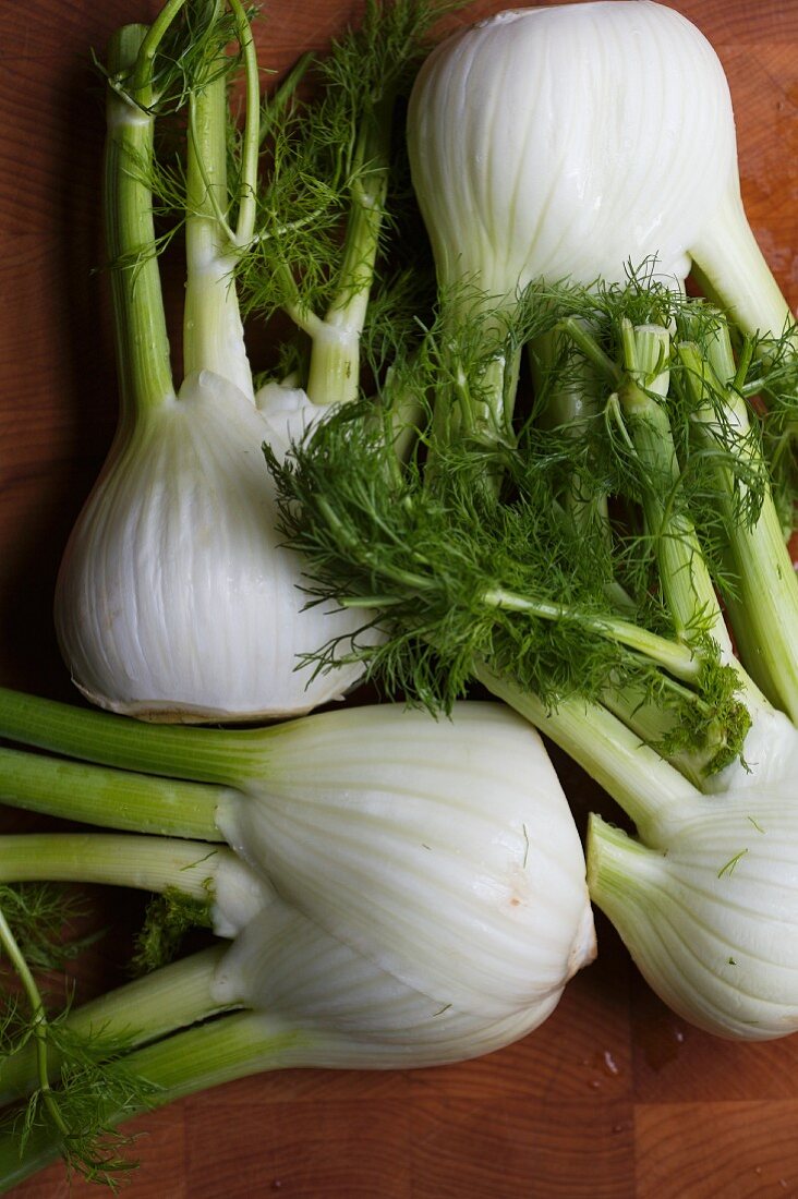 Fennel