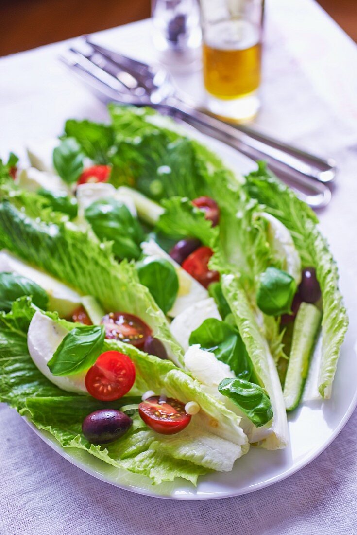 Blattsalat mit Mozzarella und Tomaten – Bilder kaufen – 11236328 StockFood