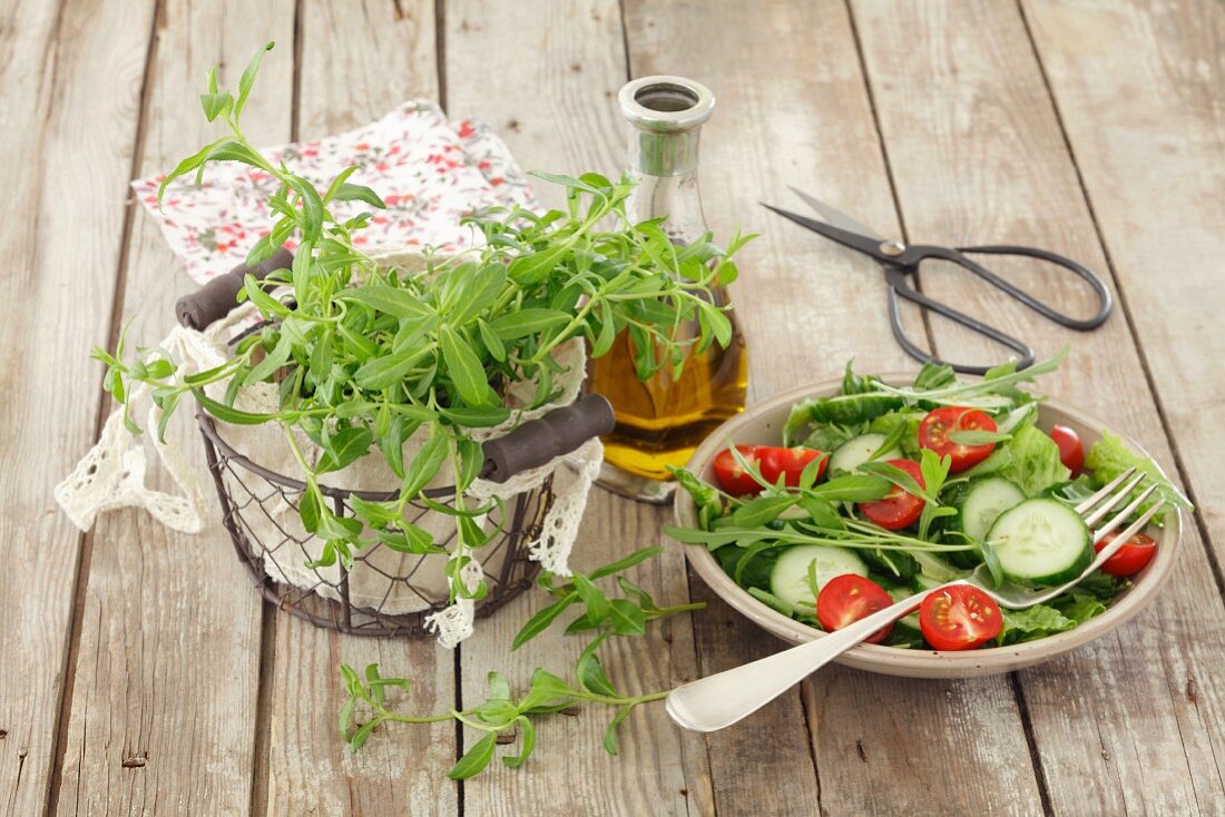 Romanasalat mit Gurken, Tomaten & Estragon