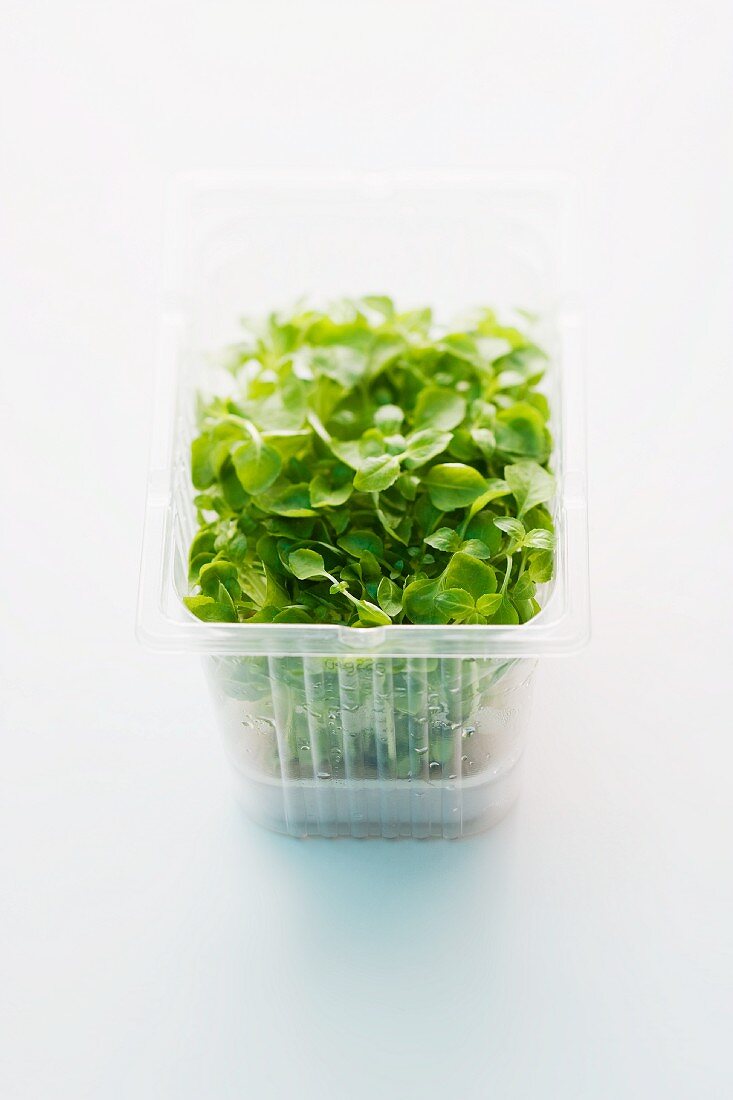 Fresh cress