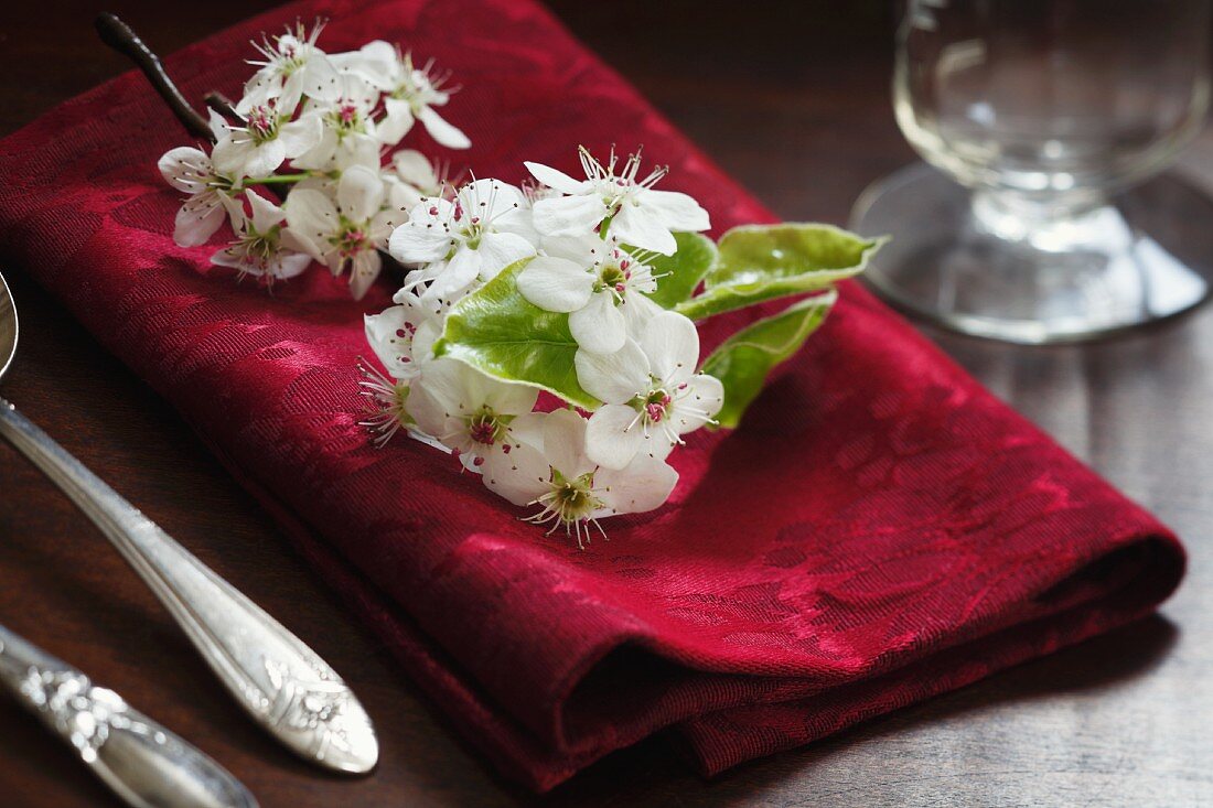 White apple blossoms on red napkin