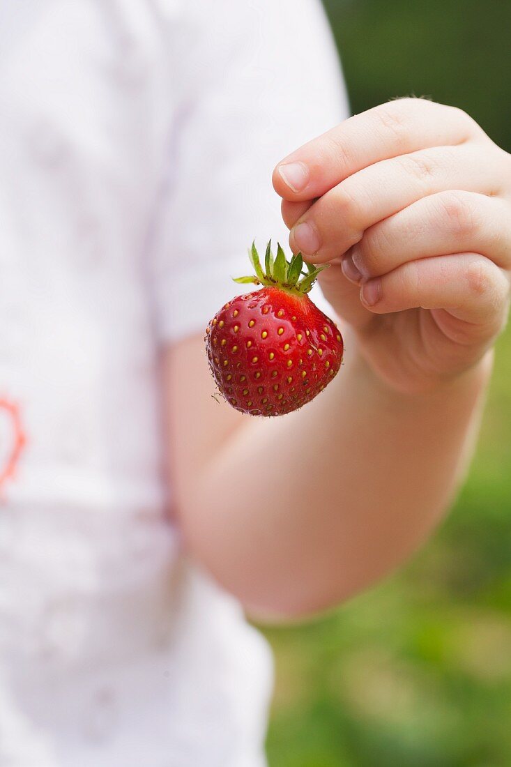 Child Holding a Strawberry by the Stem; Outside